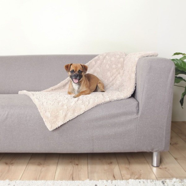 Hundedecke Cosy Softplüsch beige