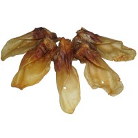 Rinderohr_mit_Muschel_1.jpg Rinderohr_mit_Muschel_1.jpg