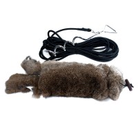 Mystique_Running_rabbit_1.jpg Mystique_Running_rabbit_1.jpg