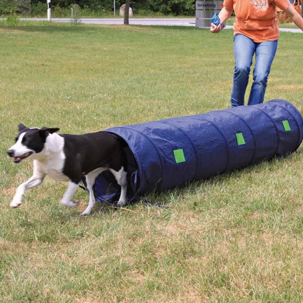 Agility Tunnel für Welpen und kleine Hunde