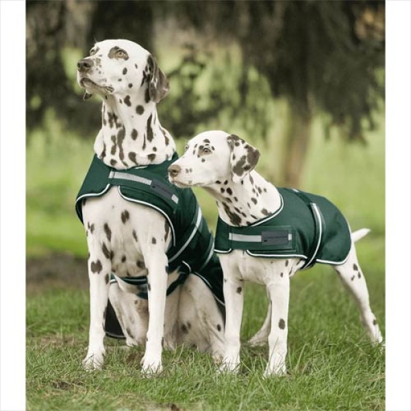 Waldhausen Regen-Hundedecke