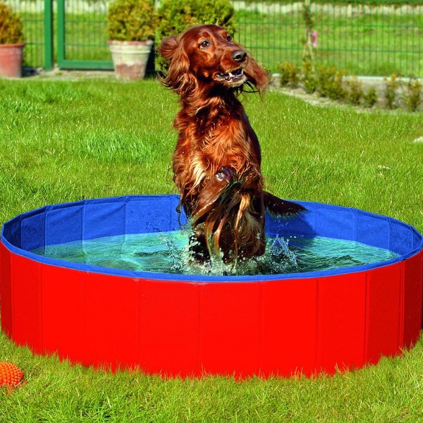 Doggy Pool