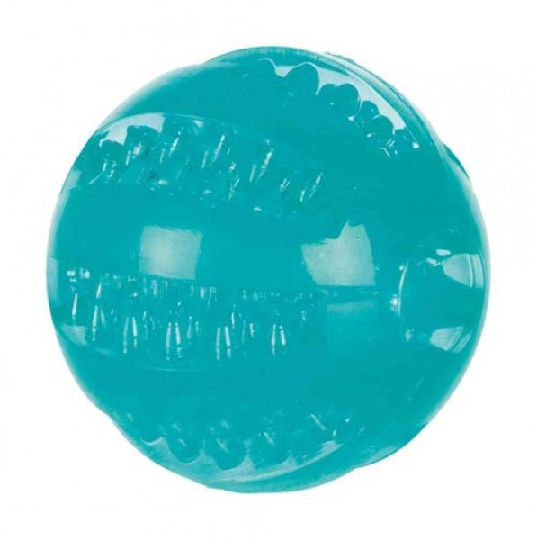 Denta_Fun_Ball_Schwimmspielzeug_1.jpg