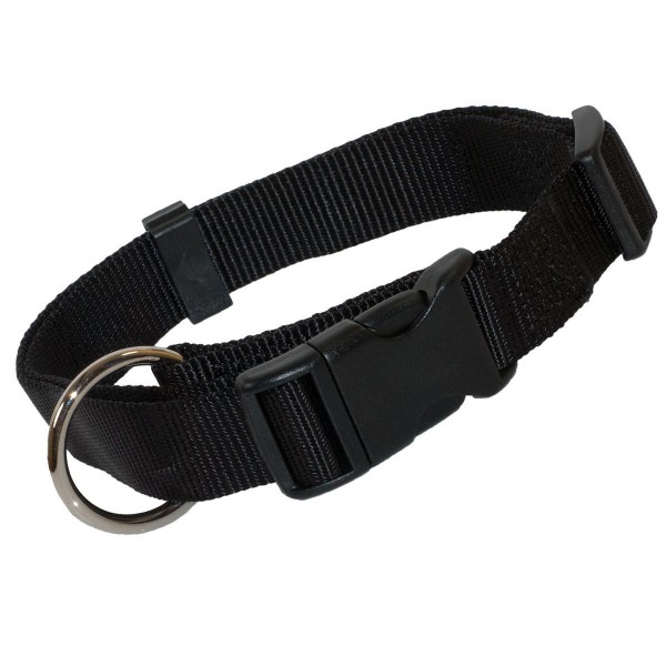 Wolters_Basic_Halsband_schwarz_1.jpg