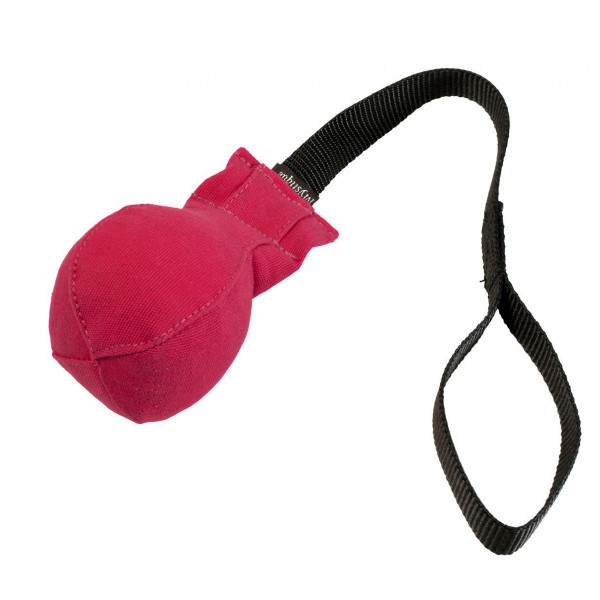 Mystique Dummy Speed Ball hot pink
