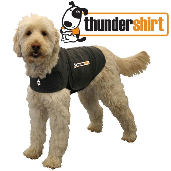 Thundershirt_1.jpg