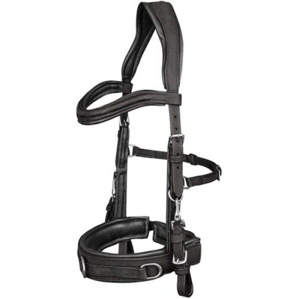 Waldhausen Lederkappzaum anatomic
