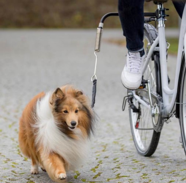 Hunde_Biker_Set_1.jpg