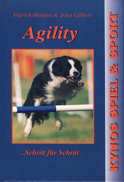 Agility - Schritt für Schritt