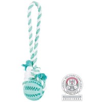 Denta_Fun_Jumper_1.jpg Denta_Fun_Jumper_1.jpg