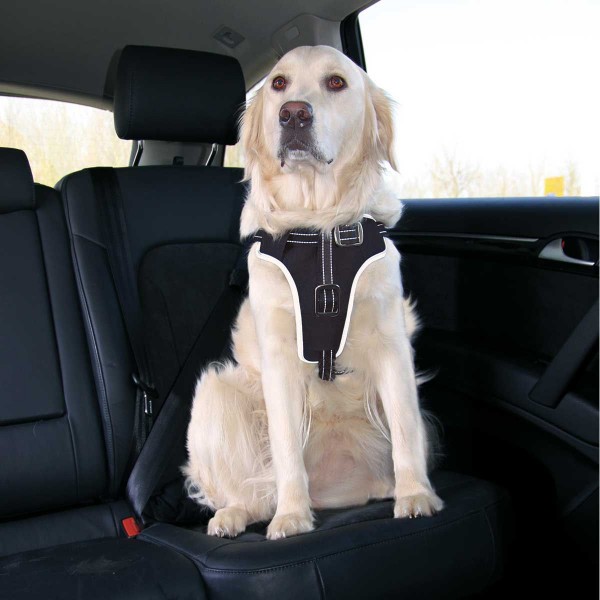 Auto Sicherheits Geschirr Dog Protect