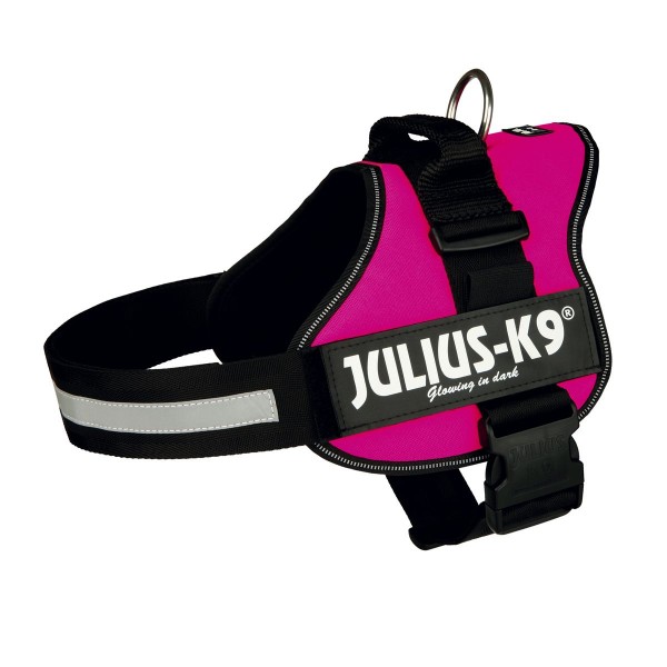 Julius_K9_Powergeschirr_fuchsia_1.jpg