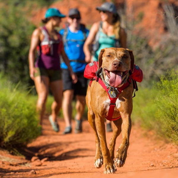 Ruffwear_Singletrak_Pack_Red_Currant_5.jpg
