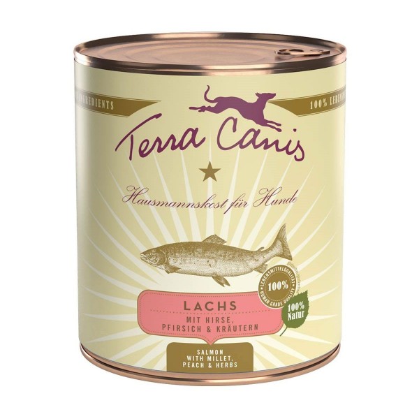 Terra Canis Menü Classic Lachs mit Hirse, Pfirsich und Kräutern