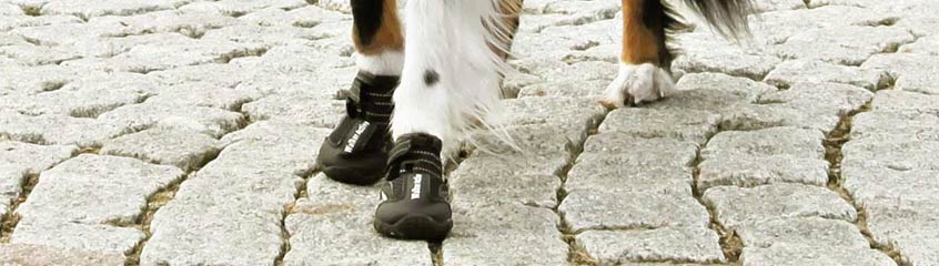 Hundeschuhe