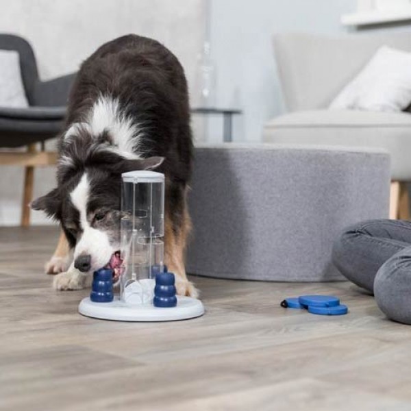 Intelligenzspielzeug für Hunde HIER kaufen